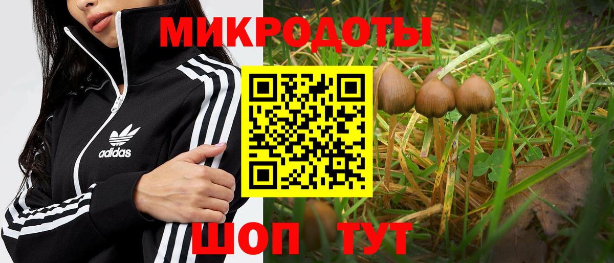 Псилоцибиновые грибы Psilocybine cubensis  Вход с VPN  Касимов  Галлюциногенные грибы Psilocybine cubensis 